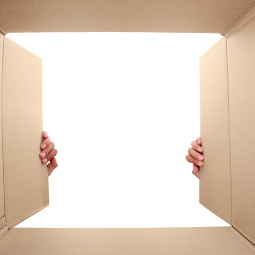 hand open cardboard box. potrait from inside the box